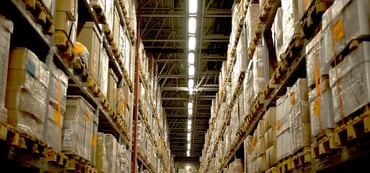 Document Storage vs. Self Storage: Making the Right Choice for Your Business
