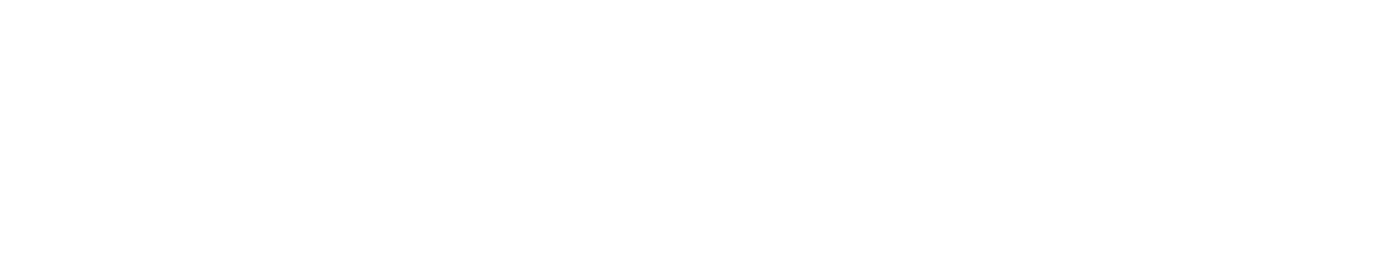 Spaceways logo - white